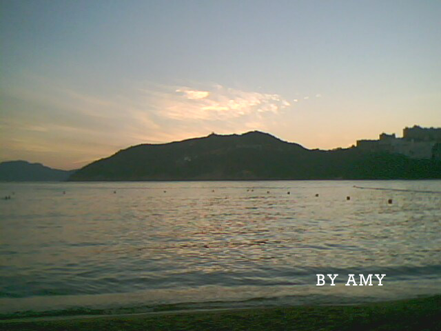 BY AMY  